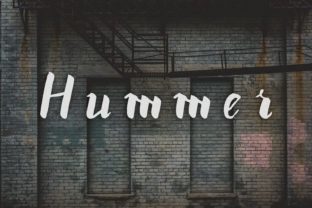 Hummer Font Review: Bold Script for Modern Brands
