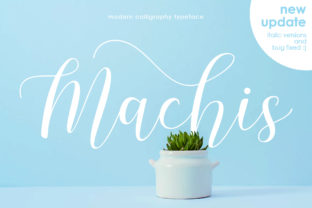 Machis: The Modern Script Font for Bold Branding