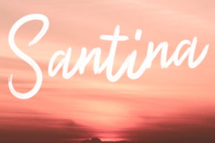 Santina: The Handwritten Font for Bold Campaigns