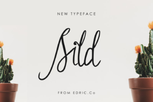 Sild: A Designer’s Honest Review of This Script Typeface