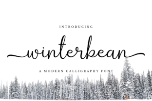Winterbean: A Modern Calligraphy Font for Elegant Branding